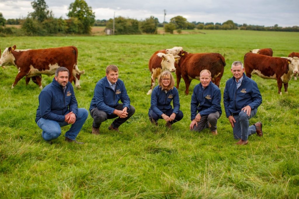 Irish Hereford Prime - Farmers with heard of Cattle