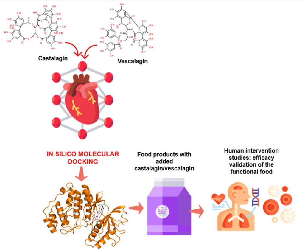 Food that can help Reduce Heart Disease - Graphical Abstract