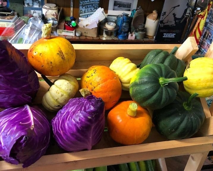 Ballydehob Pop Up Shop – fresh marrows and cabbages
