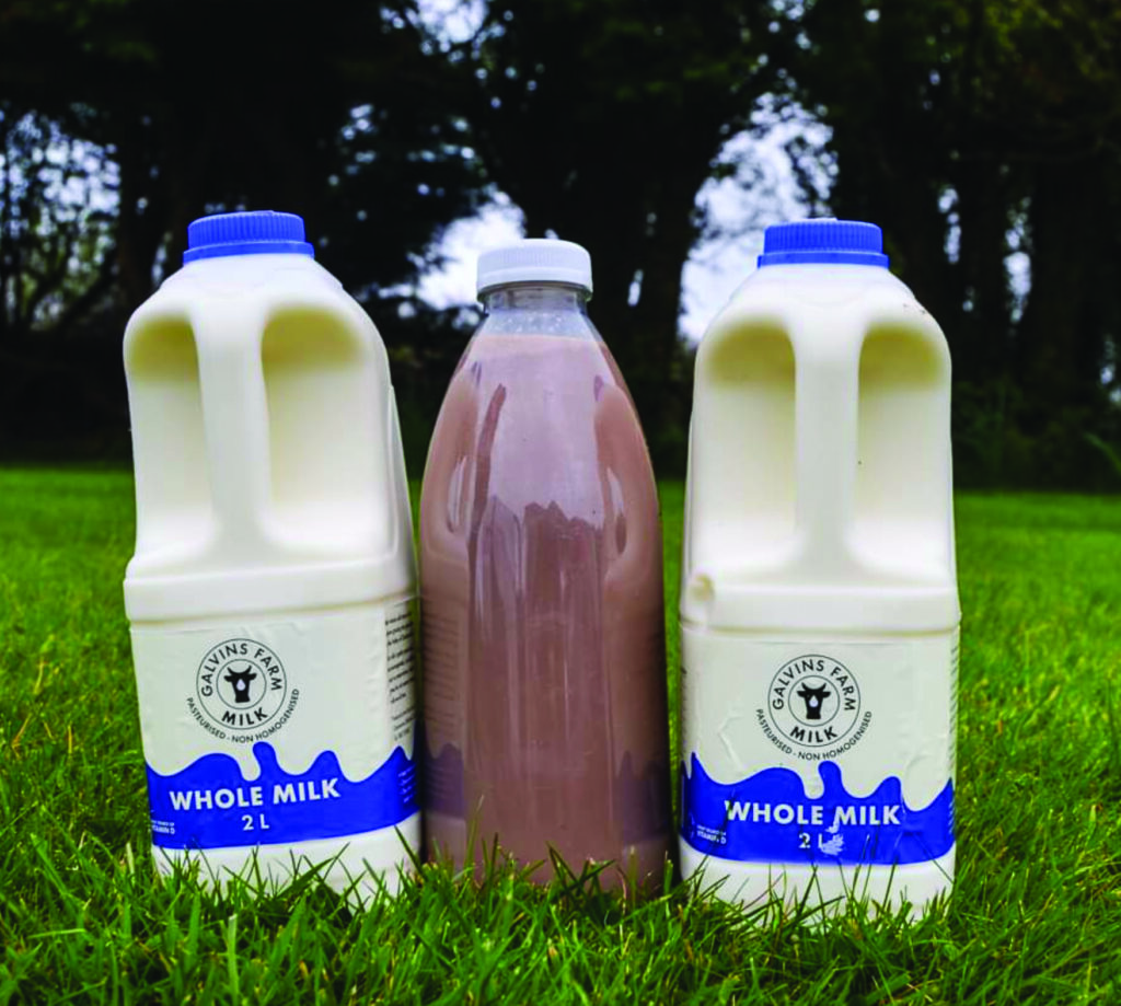 Galvin's Farm Fresh Milk - Variety