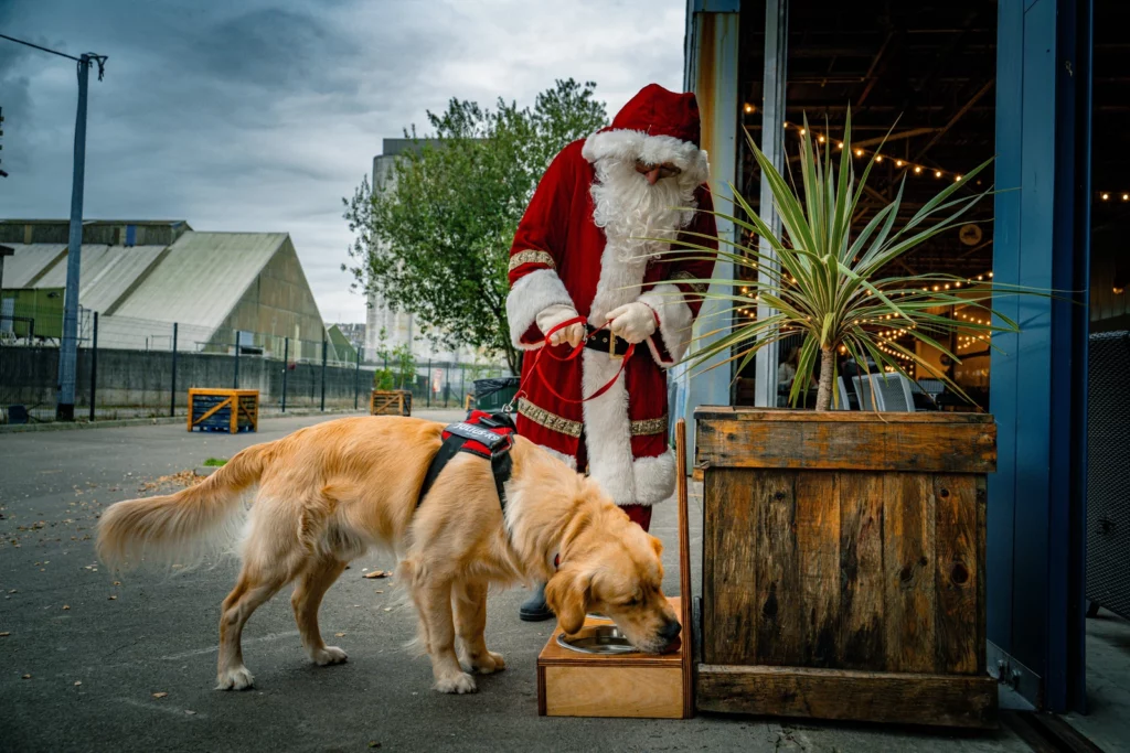 Santa and Doggy - Santa’s Magical Market, Marina Market in Cork